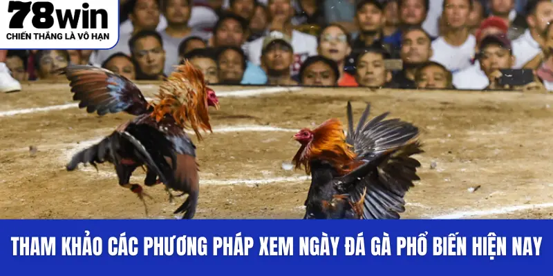 Xem Ngày Đá Gà 78Win - Kinh Nghiệm Chuẩn Xác Từ Chuyên Gia 3 Tham khảo các phương pháp xem ngày đá gà phổ biến hiện nay